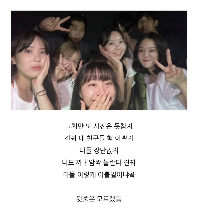 동글타코 이미지