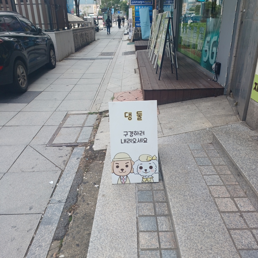 댕둘 이미지
