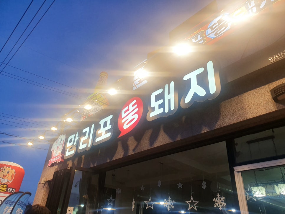 만리포뚱돼지 이미지