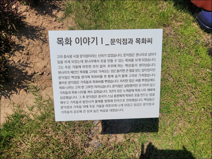 목화정원 이미지