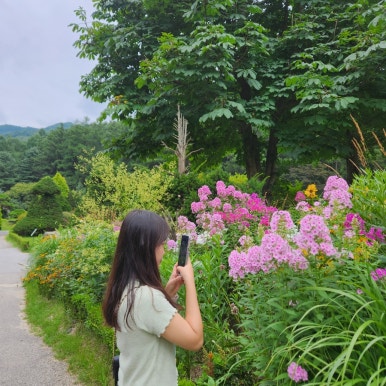 채록지 이미지