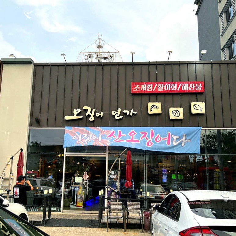 오징어연가 이미지