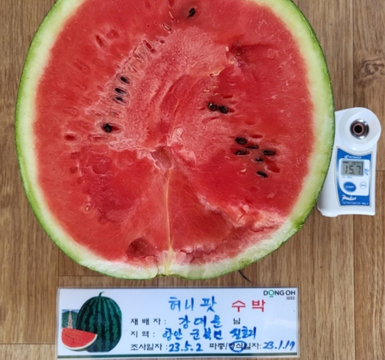 주당도가 이미지