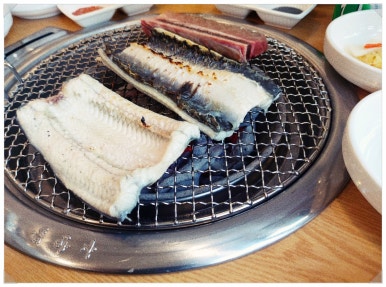 폭풍장어 이미지