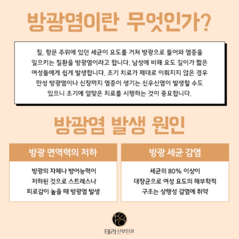 테라화성 이미지
