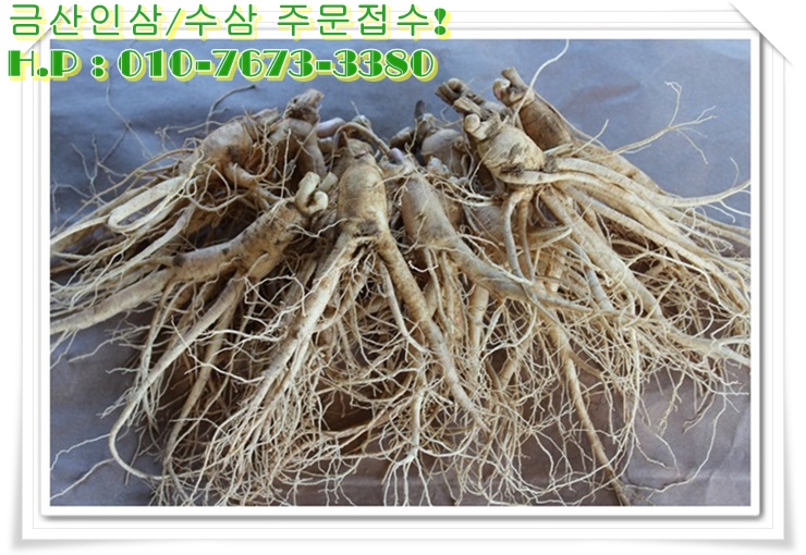 건강한인삼 이미지