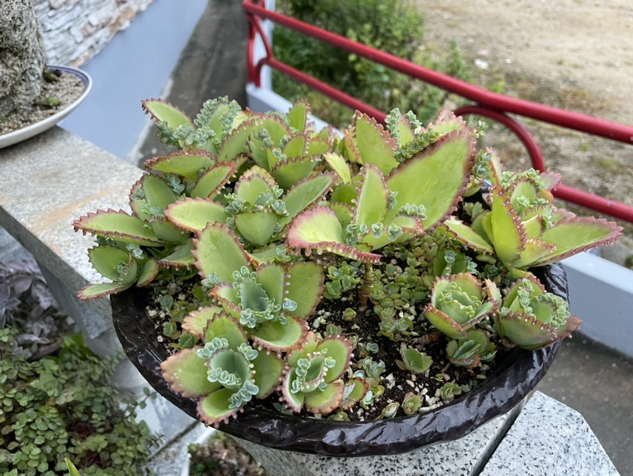 산수갑산식당 이미지