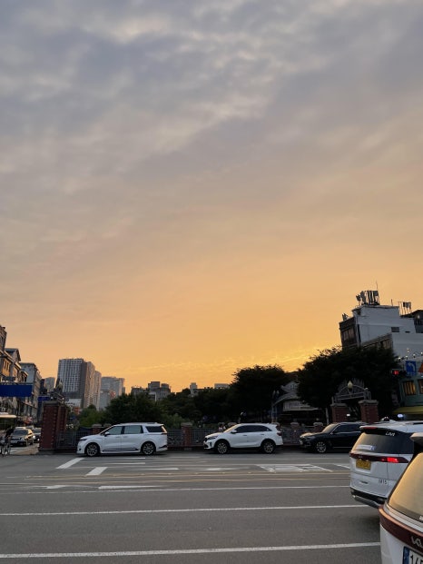 오니리크 이미지