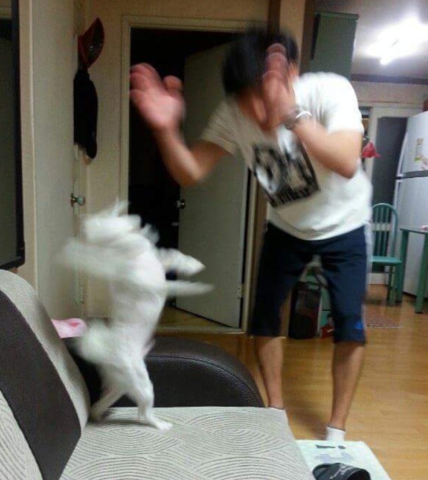 수영114 이미지