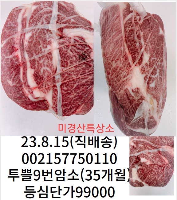 미경사 이미지