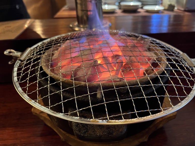 히바치텐 이미지