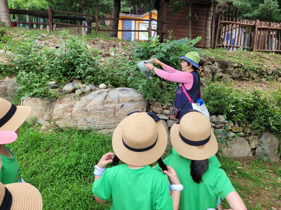 성산 유아숲체험원 이미지