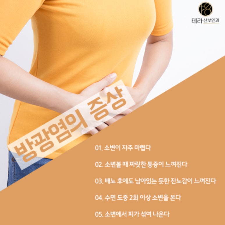 테라화성 이미지