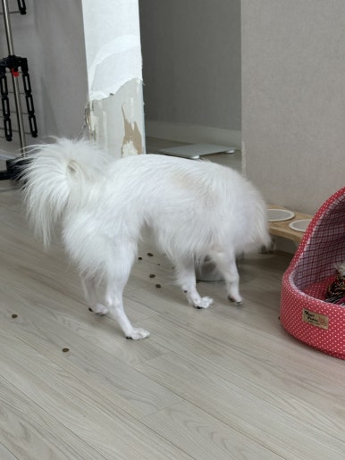 일도왕서방 이미지