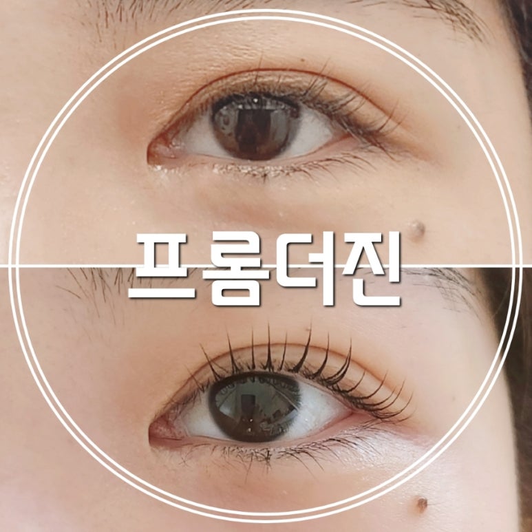 프롬더진 이미지