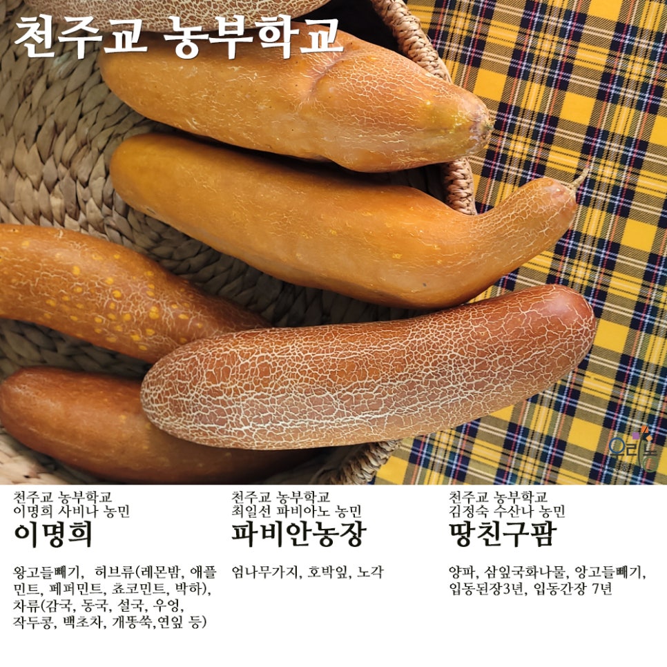 평창천년삼 이미지