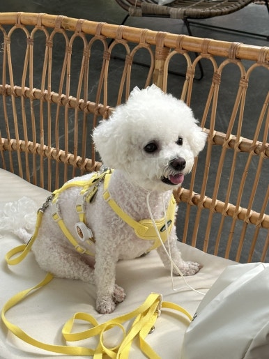 카페오솔길 이미지