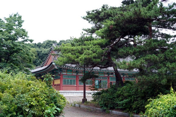 동상주유소 이미지