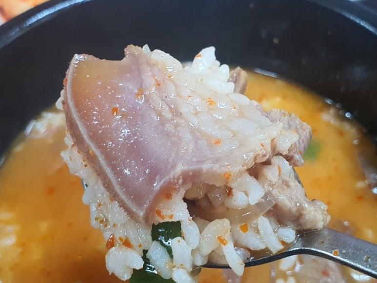 송이원 사진 6