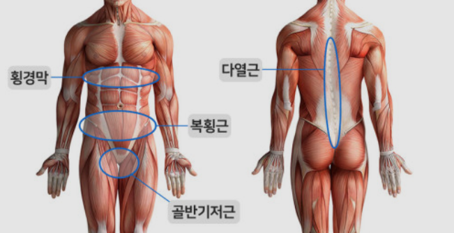 올데이코어 이미지