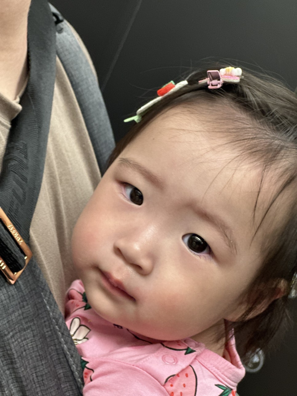 또와조아 이미지