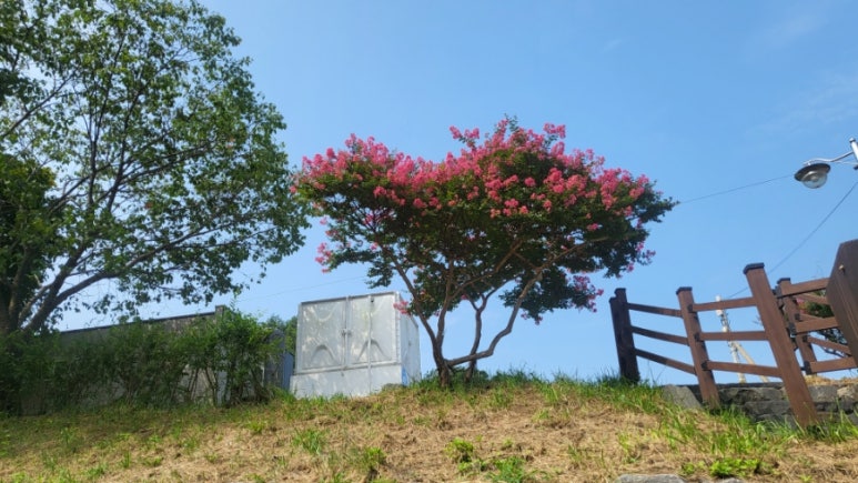 보령댄스학원 이미지