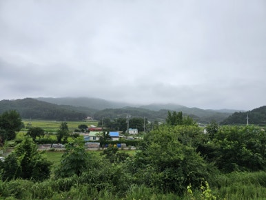 별빛민박농원 이미지