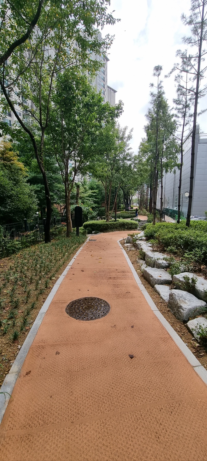 쌈지거제 이미지