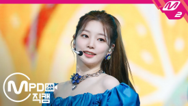 그룹퍼즐 이미지