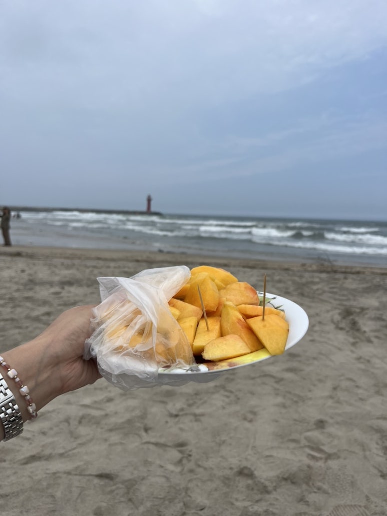 바다청과 이미지