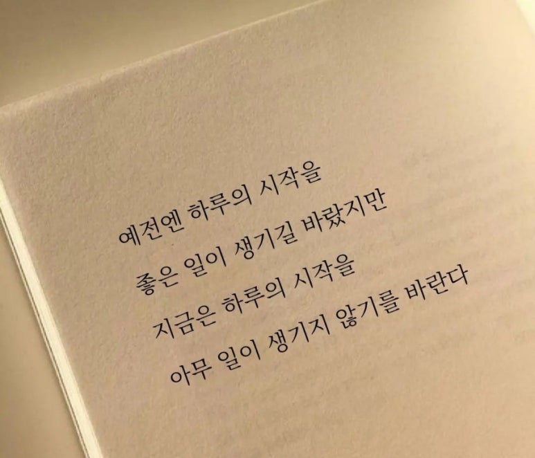 블랙비어 이미지