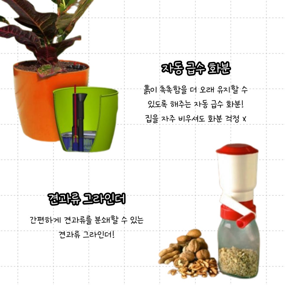 오션인터내셔널 이미지