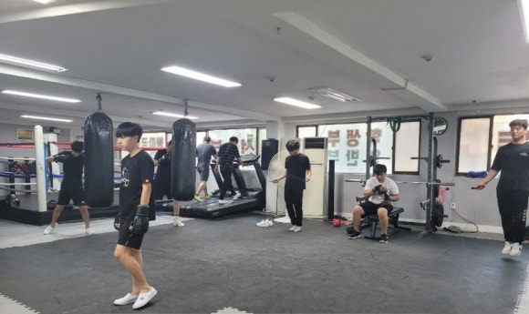 팀건복싱 이미지