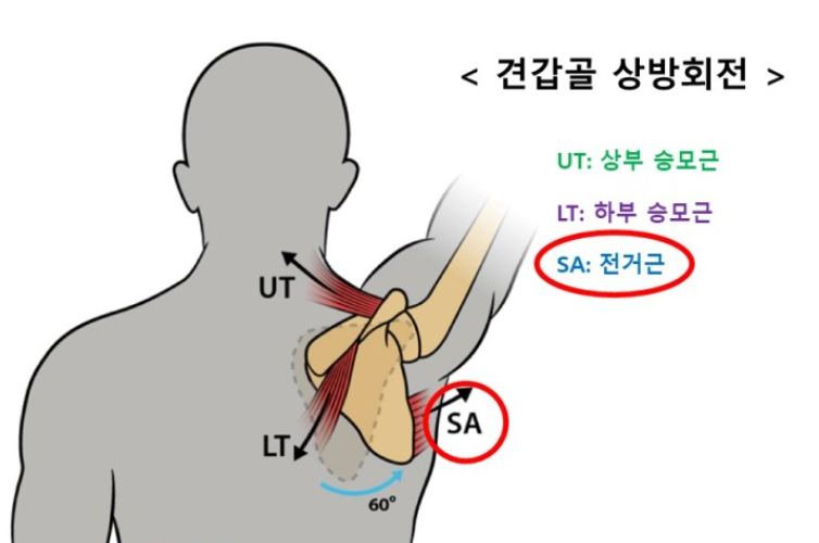 포그로스 이미지
