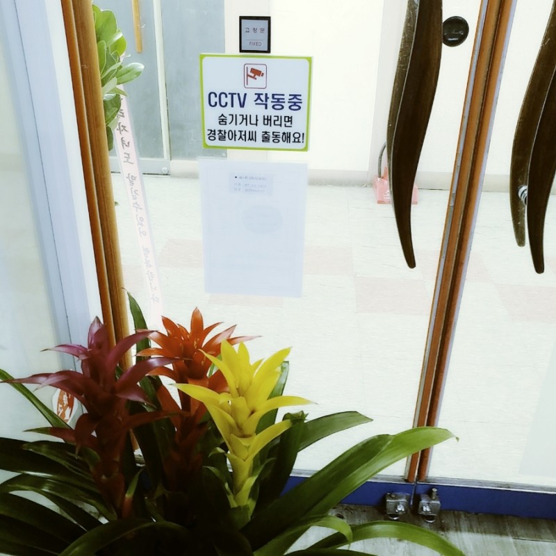 쇼팽의빨강피아노학원 이미지