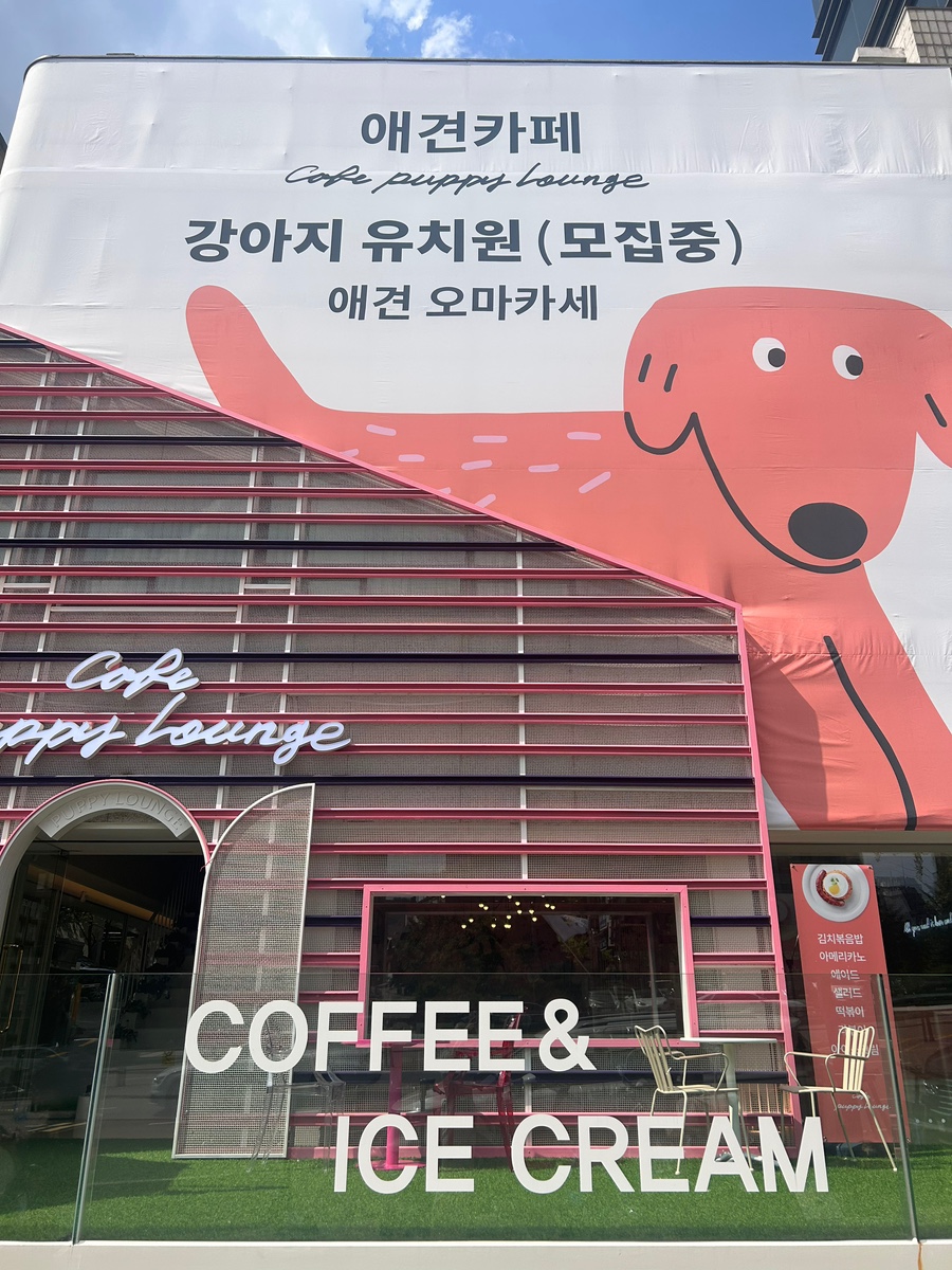 퍼피라운지 이미지