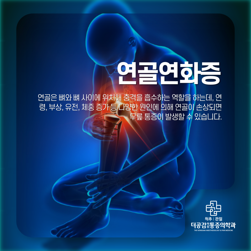 연화레포츠 이미지