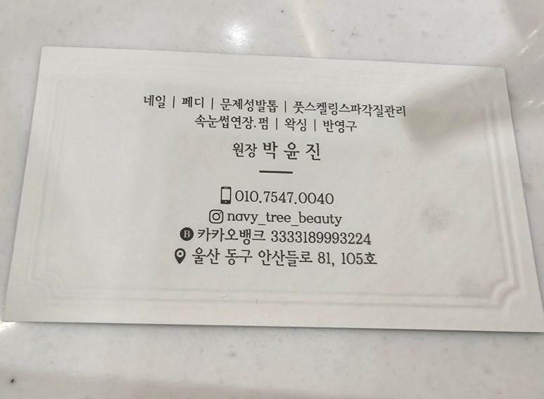 네이비트리 이미지