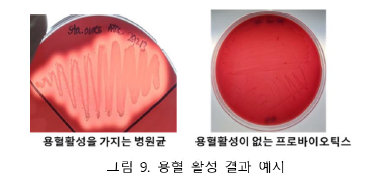 건강식품연구원 이미지