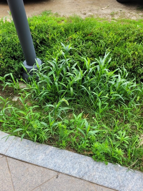 365종합설비인테리어 이미지