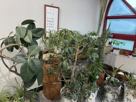 산수갑산식당 이미지