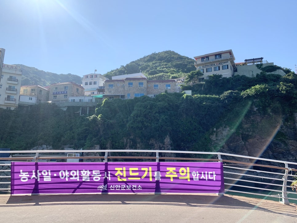 신안세탁 이미지