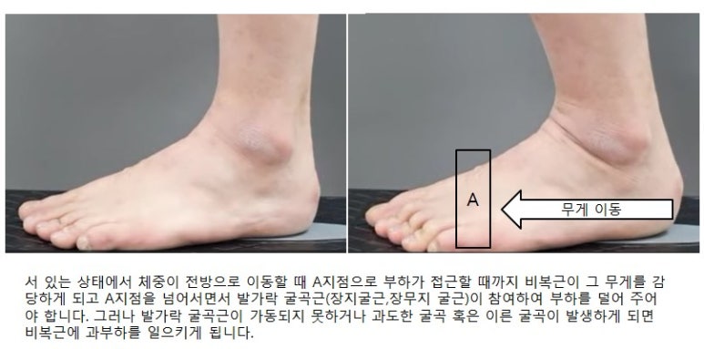 기능동작아카데미 이미지