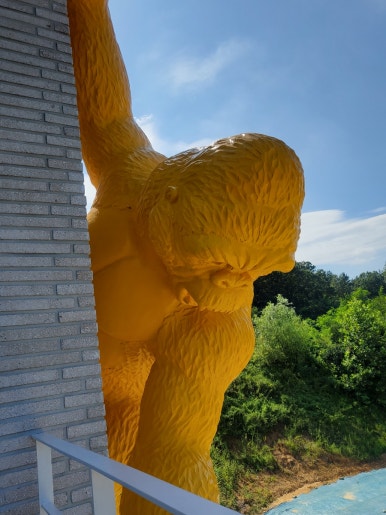 킹콩G.C갤러리 이미지
