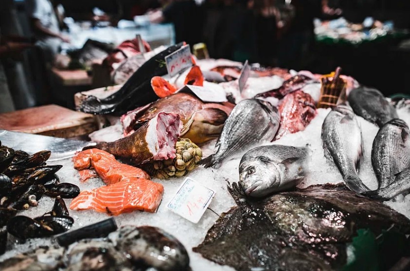 부산Fish 이미지