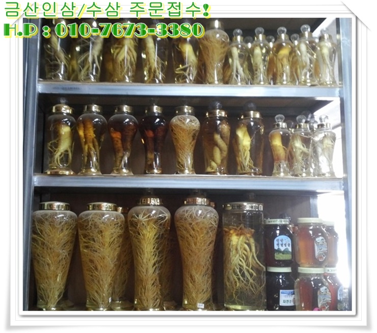 건강한인삼 이미지