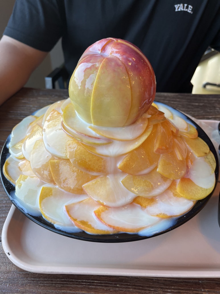 의픔장어 이미지