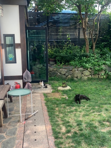 가배원 이미지