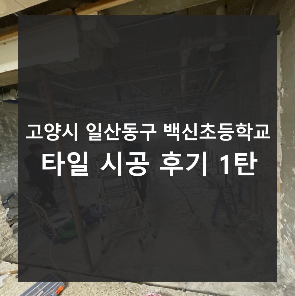 백신초등학교 이미지