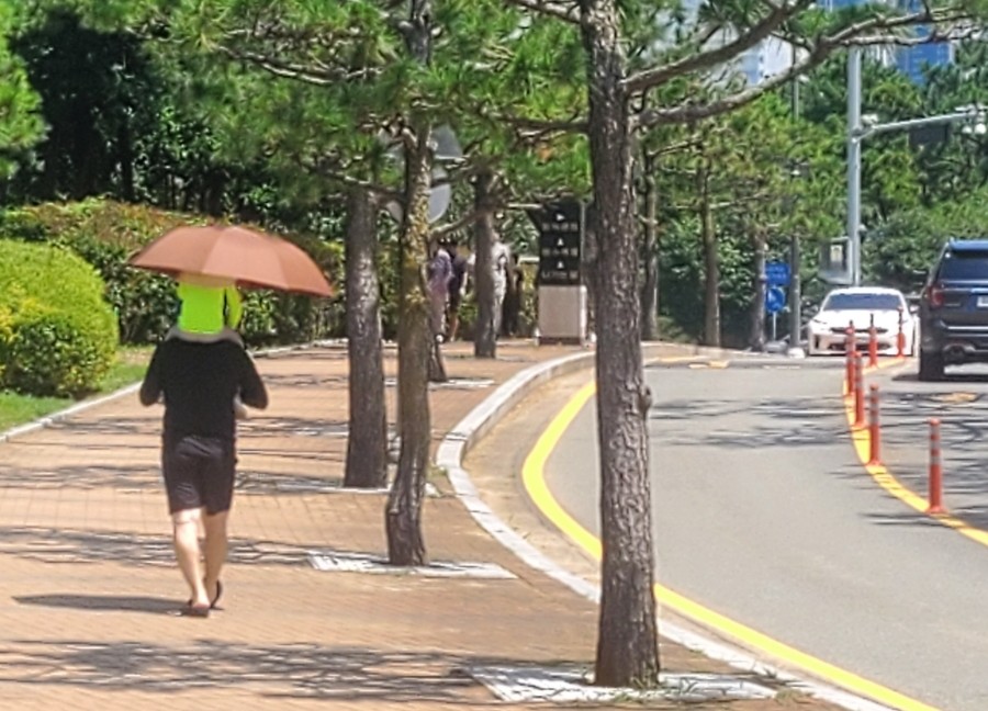 마이츄-진 이미지